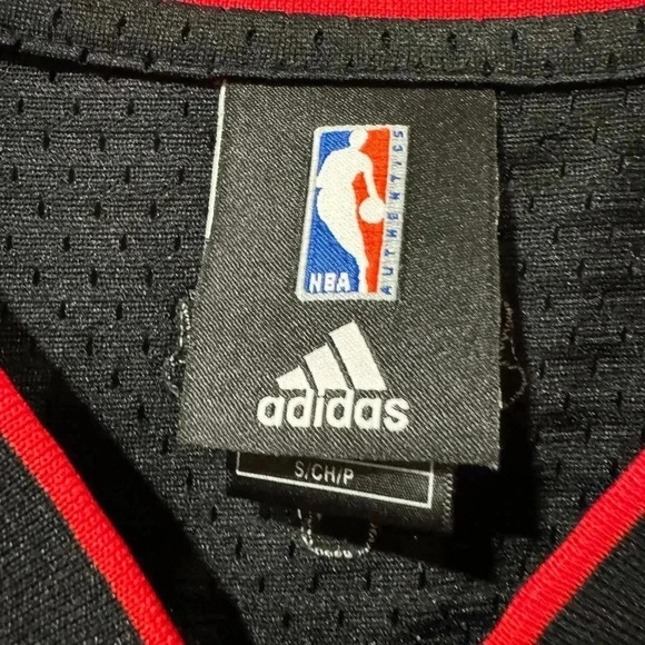 Chris Bosh Toronto Raptors NBA Jersey - Picture 6 of 11